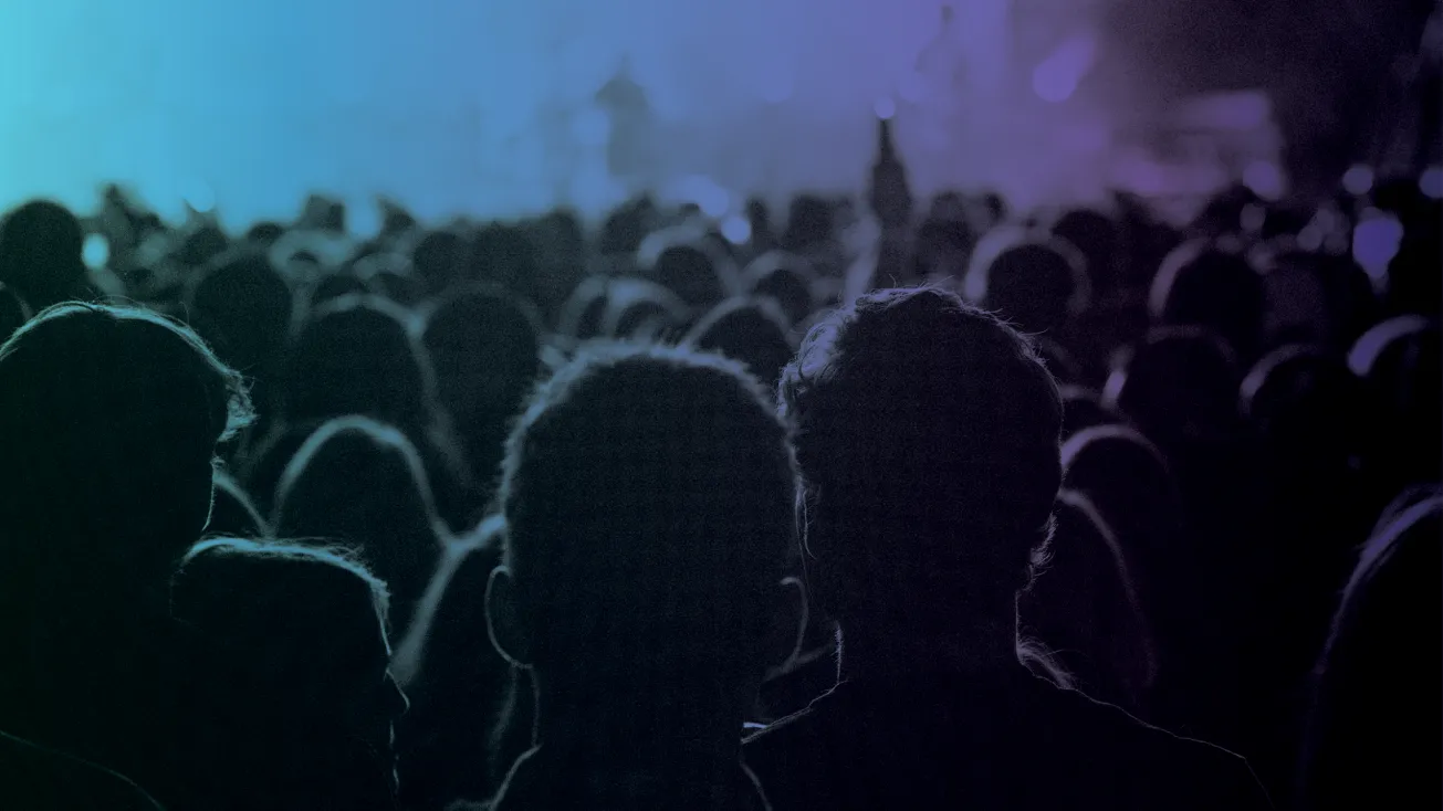 crowd at concert