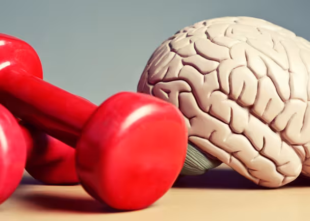 brain and weights
