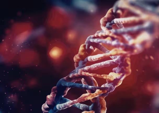 DNA
